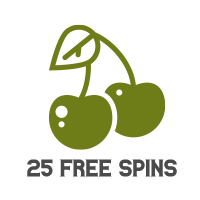 25 Free Spins Bonuses